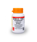 WCB1.9 – Xiyangshen Pian